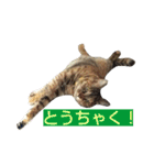 プーちゃんだよ（個別スタンプ：28）