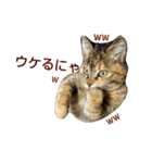 プーちゃんだよ（個別スタンプ：31）