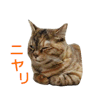 プーちゃんだよ（個別スタンプ：32）