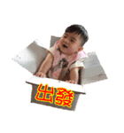 lemon DiDi（個別スタンプ：1）