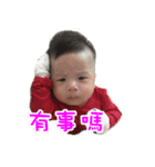 lemon DiDi（個別スタンプ：10）