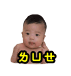 lemon DiDi（個別スタンプ：18）