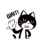 Yamyo, the cat (English Ver.)（個別スタンプ：16）