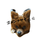 メリーちゃん。（個別スタンプ：2）
