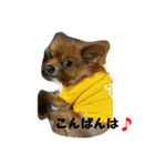 メリーちゃん。（個別スタンプ：3）