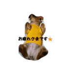 メリーちゃん。（個別スタンプ：4）