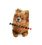 メリーちゃん。（個別スタンプ：10）