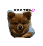メリーちゃん。（個別スタンプ：11）