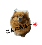 メリーちゃん。（個別スタンプ：14）