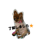 メリーちゃん。（個別スタンプ：15）