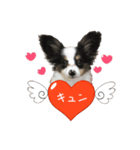 サラとココ（個別スタンプ：5）