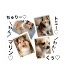 山上Sisters With柊空♡（個別スタンプ：38）