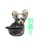 ヨーキーのれもん君（個別スタンプ：8）