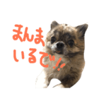 うなちゃんとしゃこちゃん（個別スタンプ：2）