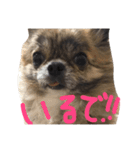 うなちゃんとしゃこちゃん（個別スタンプ：4）