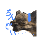 うなちゃんとしゃこちゃん（個別スタンプ：12）
