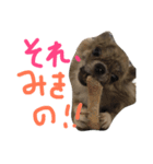 うなちゃんとしゃこちゃん（個別スタンプ：13）
