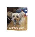 チョコだよ（個別スタンプ：2）