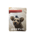 チョコだよ（個別スタンプ：3）
