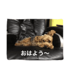チョコだよ（個別スタンプ：5）