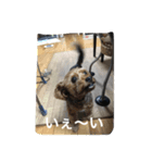 チョコだよ（個別スタンプ：6）