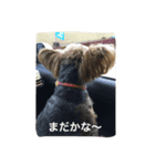 チョコだよ（個別スタンプ：7）