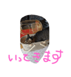 さくらの日常（個別スタンプ：6）
