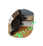 さくらの日常（個別スタンプ：8）