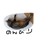 さくらの日常（個別スタンプ：10）