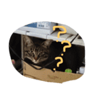 さくらの日常（個別スタンプ：16）