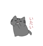 灰色くもねこ（個別スタンプ：22）