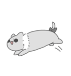 灰色くもねこ（個別スタンプ：37）