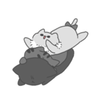 灰色くもねこ（個別スタンプ：40）