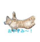 げんたろうくん（個別スタンプ：2）