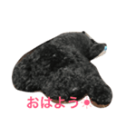 げんたろうくん（個別スタンプ：6）