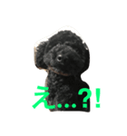 げんたろうくん（個別スタンプ：8）
