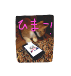 ぐりぐりお2（個別スタンプ：11）
