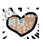 猫語で話す平田さんが大好きで結婚したい猫（個別スタンプ：1）