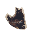 エマ♡ウル（個別スタンプ：6）