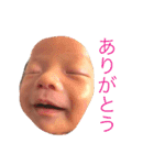 ハの字眉のコロちゃん（個別スタンプ：12）