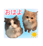 るるべる（個別スタンプ：1）