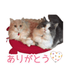 るるべる（個別スタンプ：2）