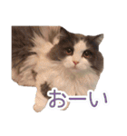 るるべる（個別スタンプ：3）