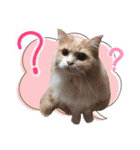 るるべる（個別スタンプ：5）