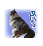 るるべる（個別スタンプ：6）
