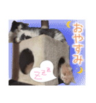 るるべる（個別スタンプ：8）
