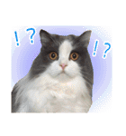 るるべる（個別スタンプ：12）