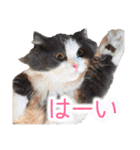 るるべる（個別スタンプ：15）
