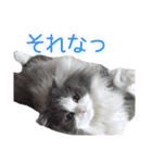 るるべる（個別スタンプ：16）