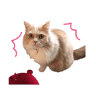 るるべる（個別スタンプ：17）